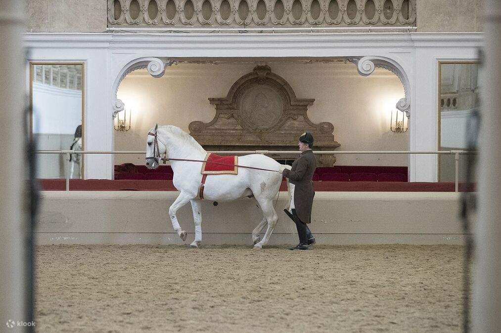 ウィーンのスペイン乗馬学校の調教見学 | Klook