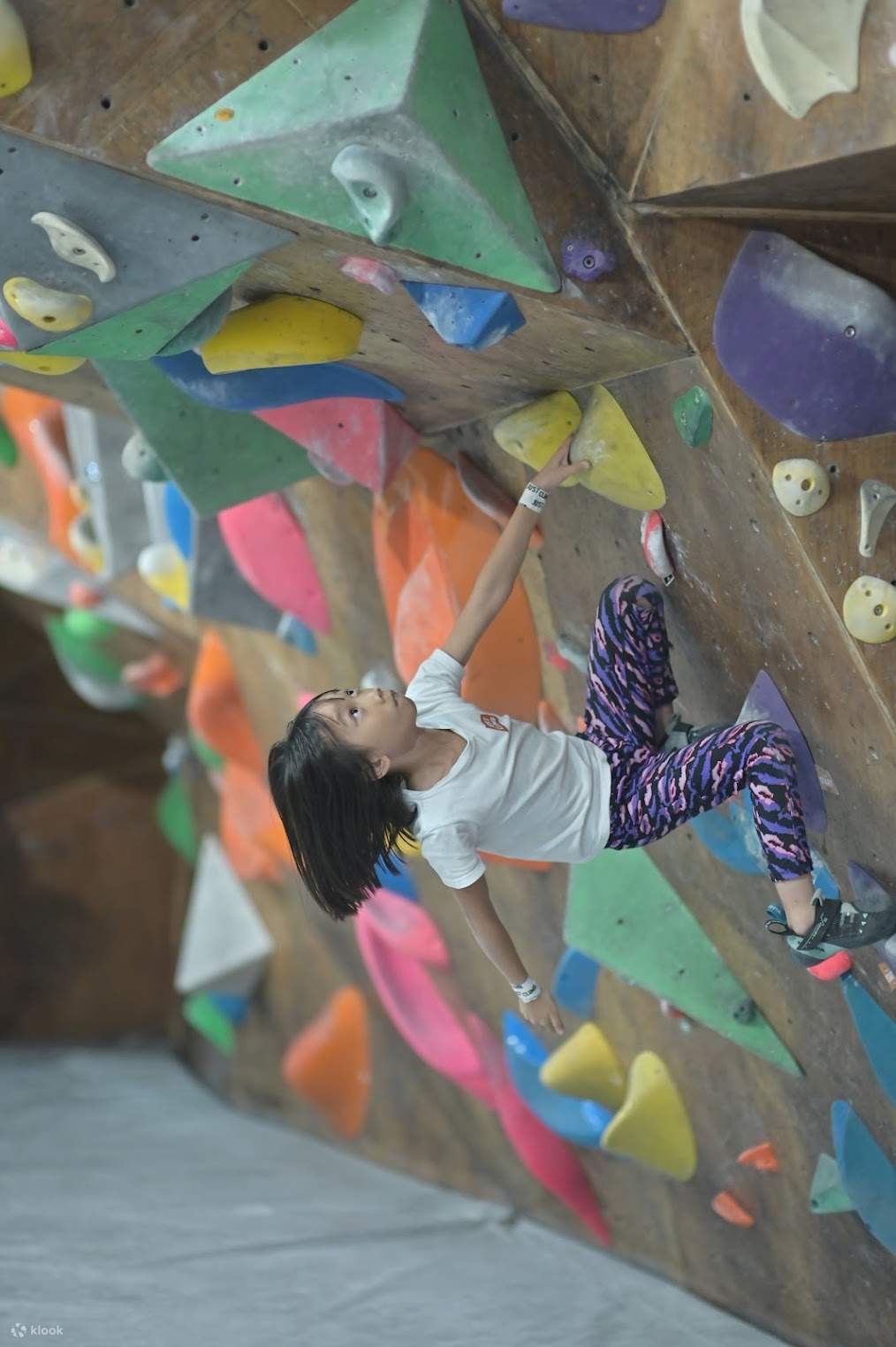 JUST CLIMB 攀石場 - Klook