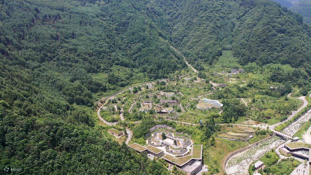 Thuê xe riêng tham quan Du lịch một ngày từ Thành Đô đến căn cứ Thần Thụ Bình & Đô Giang Yển