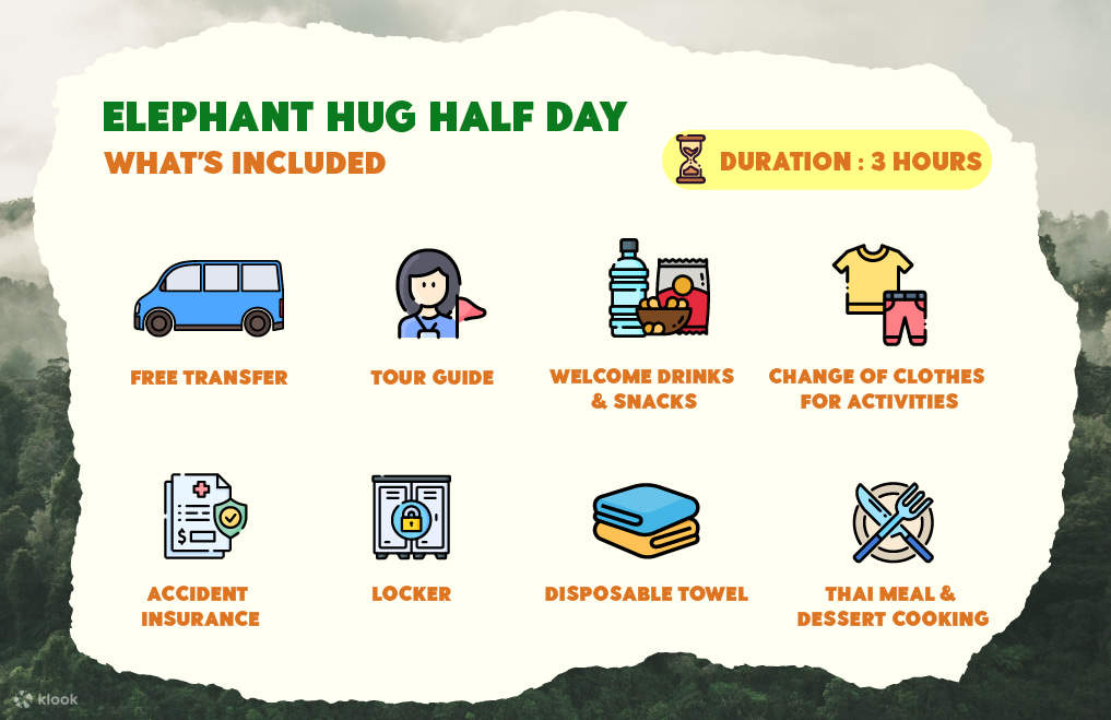 Patong Elephant Hug на Пхукете