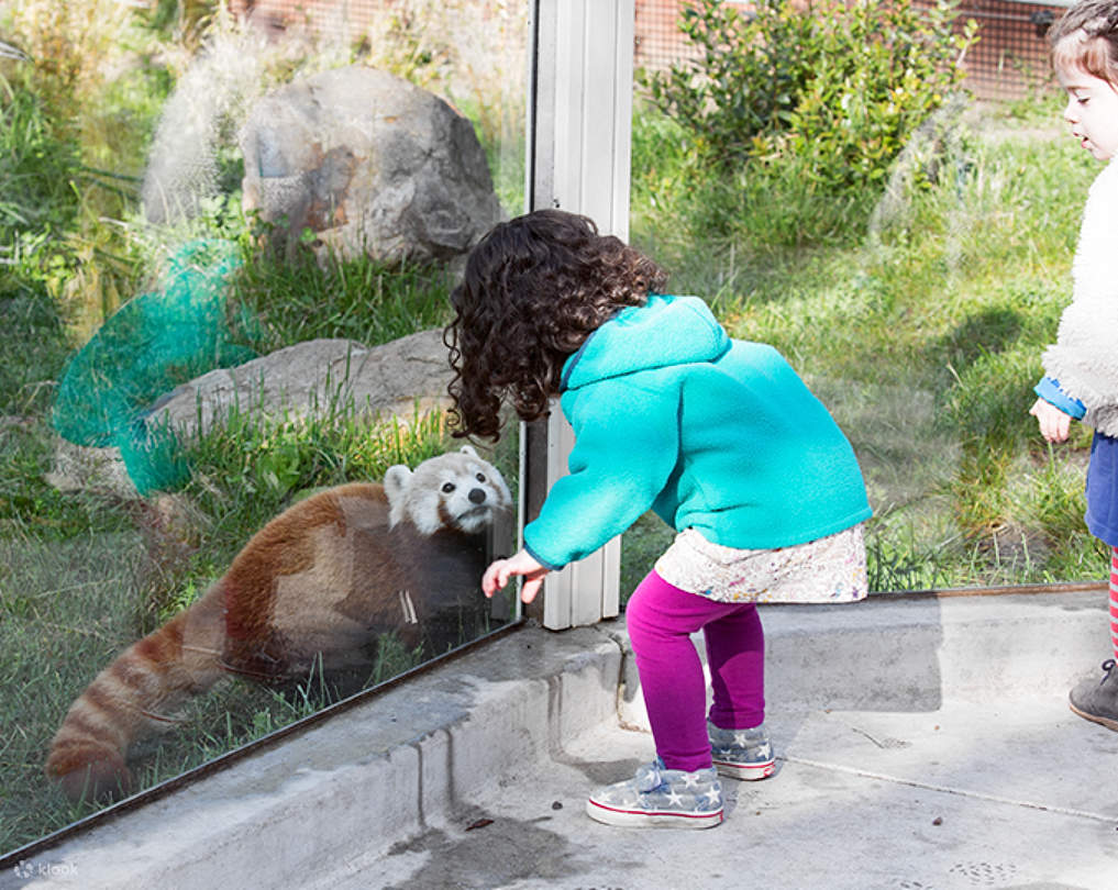 San Francisco Zoo and Gardens Tickets 클룩 Klook 한국