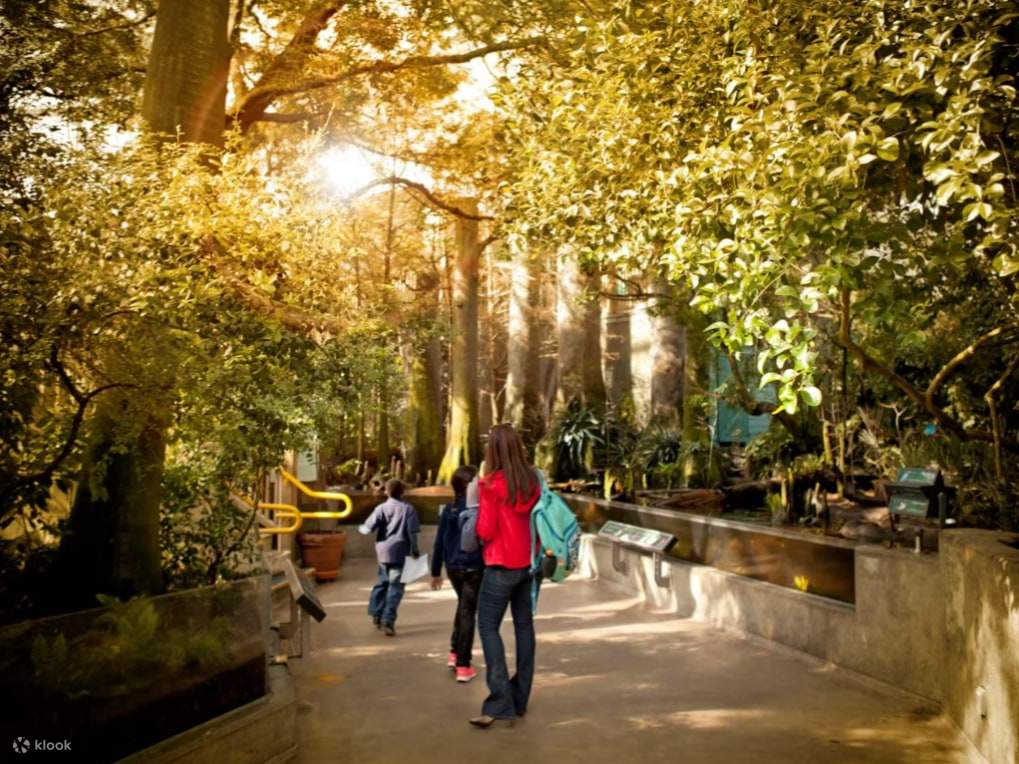 Guests entering a scenic path leading into the aquarium exterior