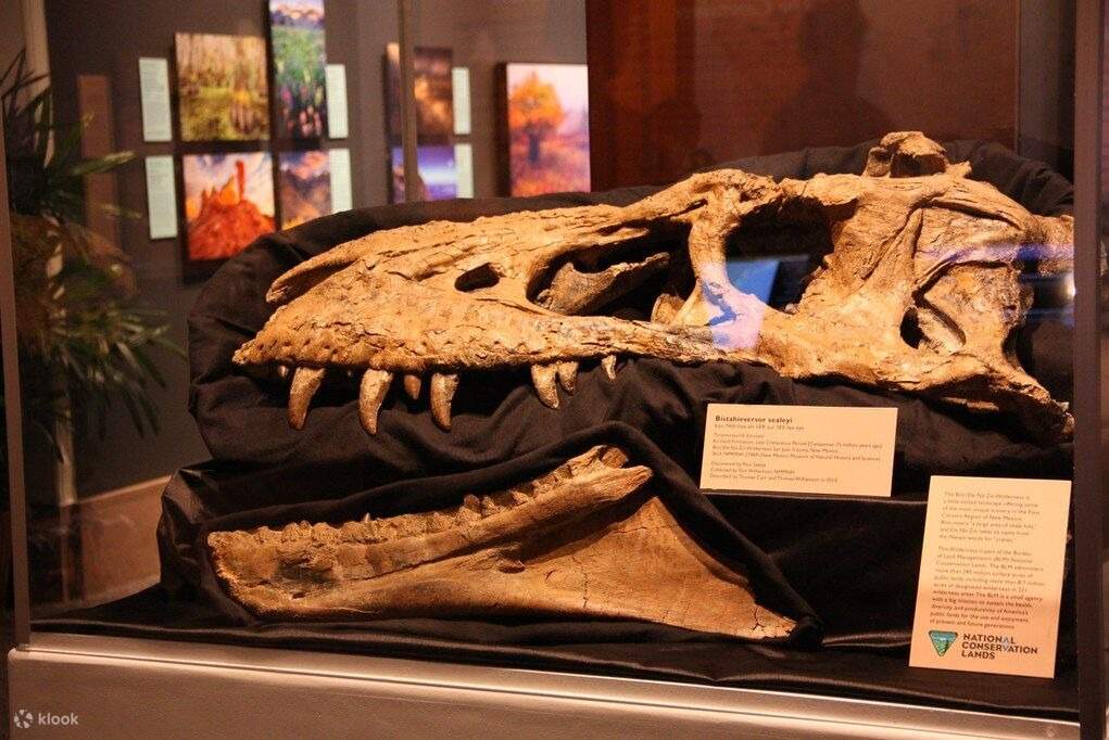 SMITHSONIAN NATIONAL MUSEUM OF NATURAL HISTORY PHOTOS TOURS visual data 7