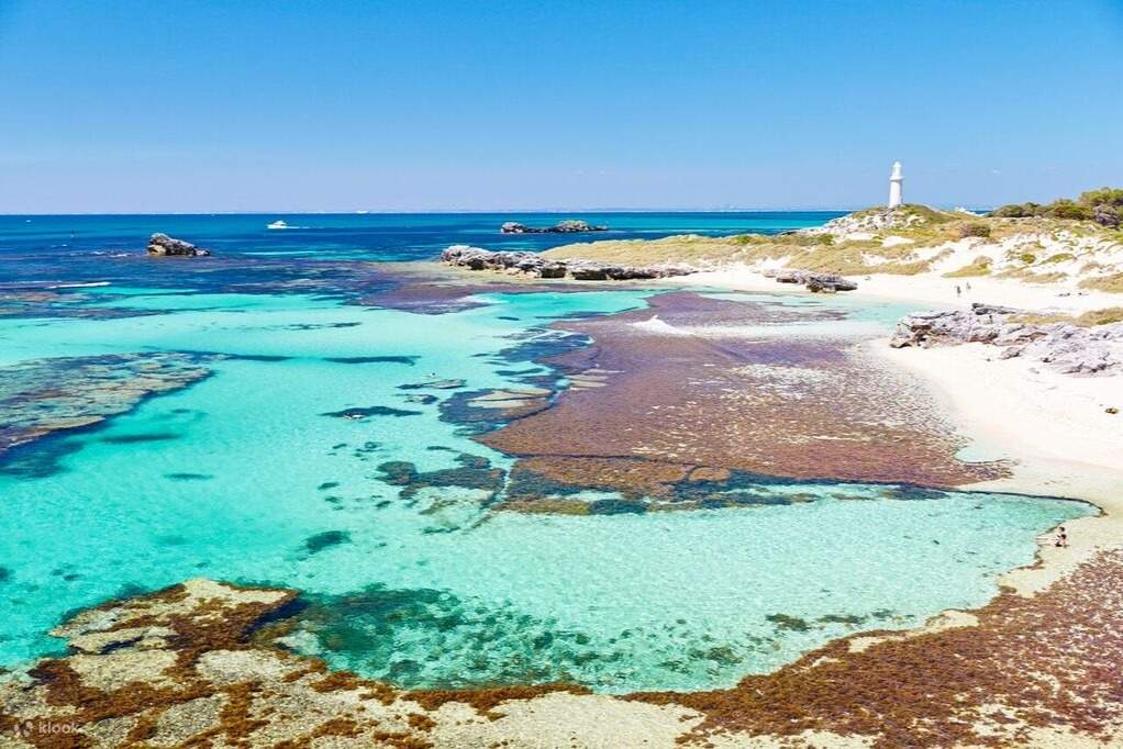 rottnest-island-ferry-tickets-from-perth-or-fremantle-klook-singapore