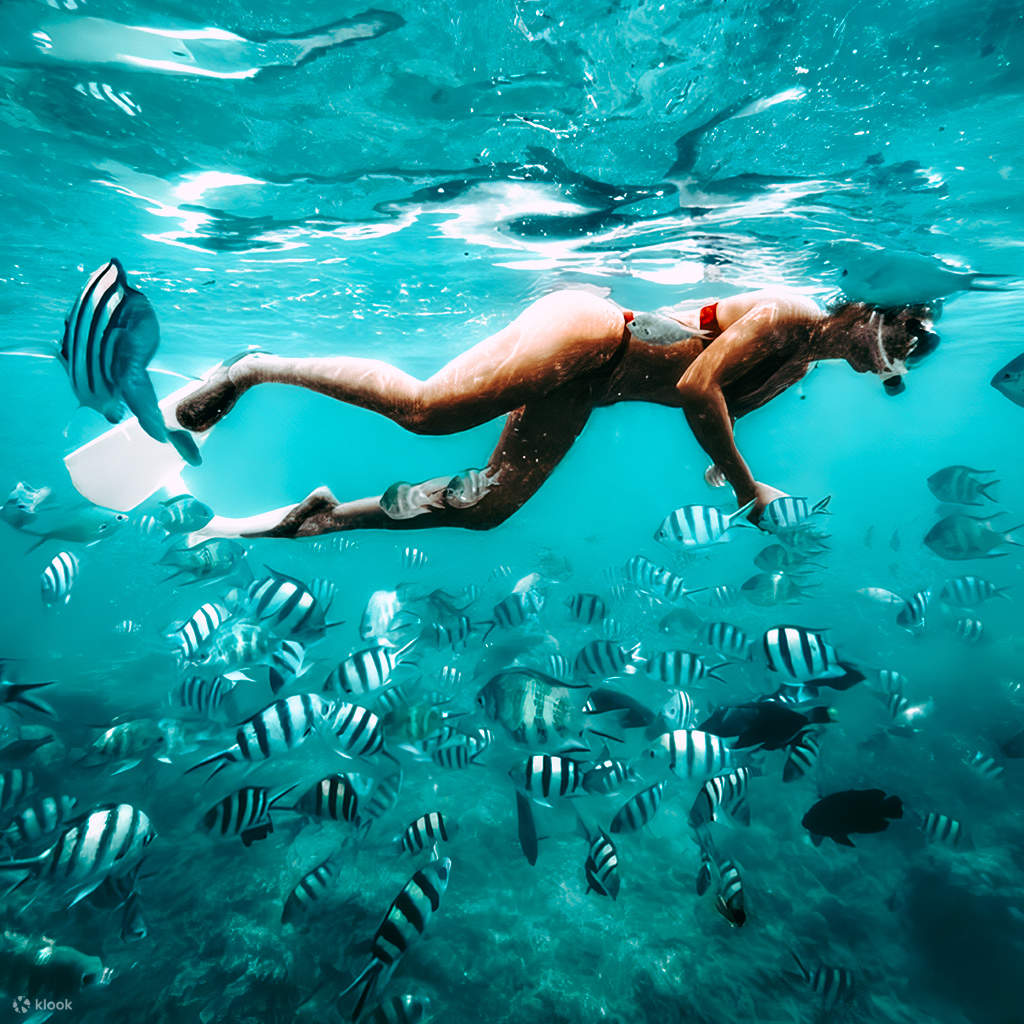 Gili Air Sous-Marine 