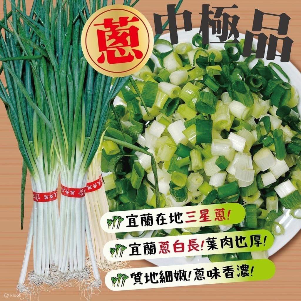 宜蘭蔥寶寶體驗農場三星蔥手作體驗 - Klook