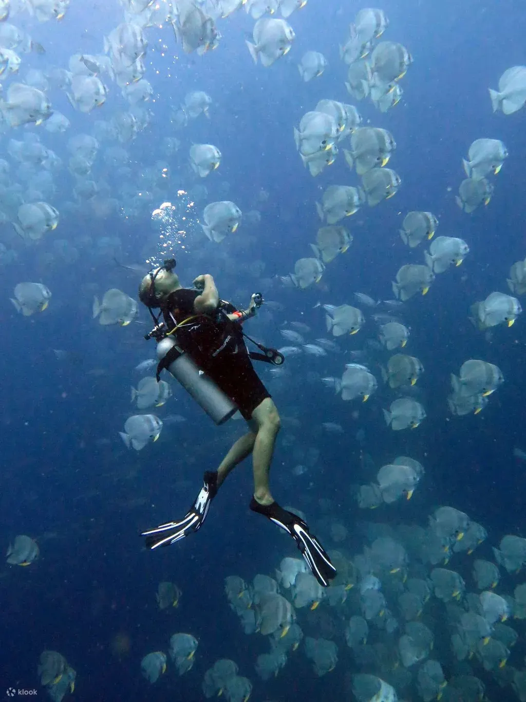 PADI 高氧空气潜水员