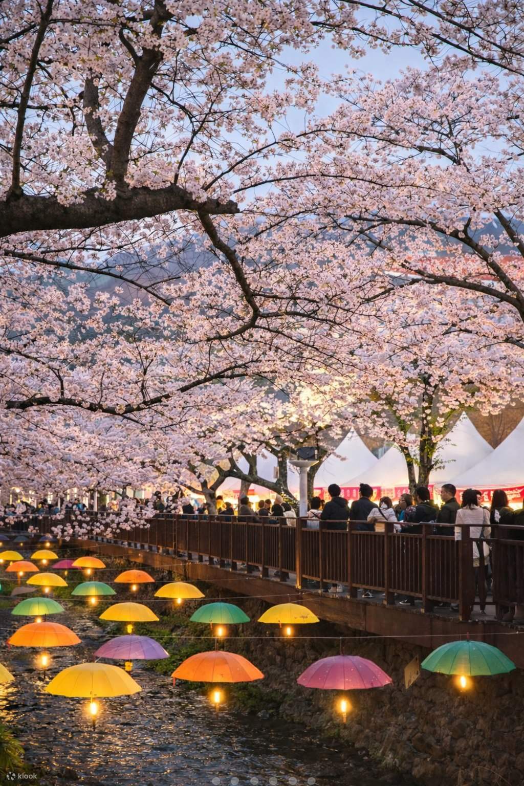2025 ソウル発 鎮海桜日帰りツアー - Klook