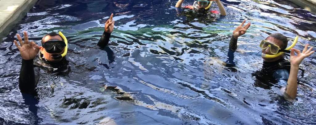 ฝึกซ้อมในสระว่ายน้ำก่อนดำน้ำที่ทะเล Pemuteran!