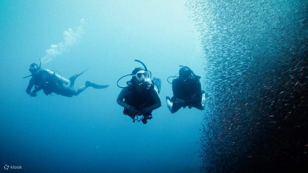 Immerse yourself in the wonders of Tioman's underwater realm as you progress through our comprehensive Advanced Course.