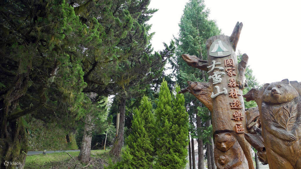 台湾好行 - 889 大雪山线 漫游自然趣 交通套票