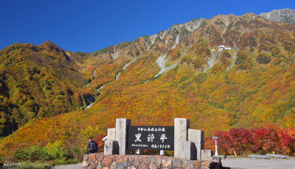 【短パン】ALPINE、VISIT Alpine Pants Men's | Montbell Japan