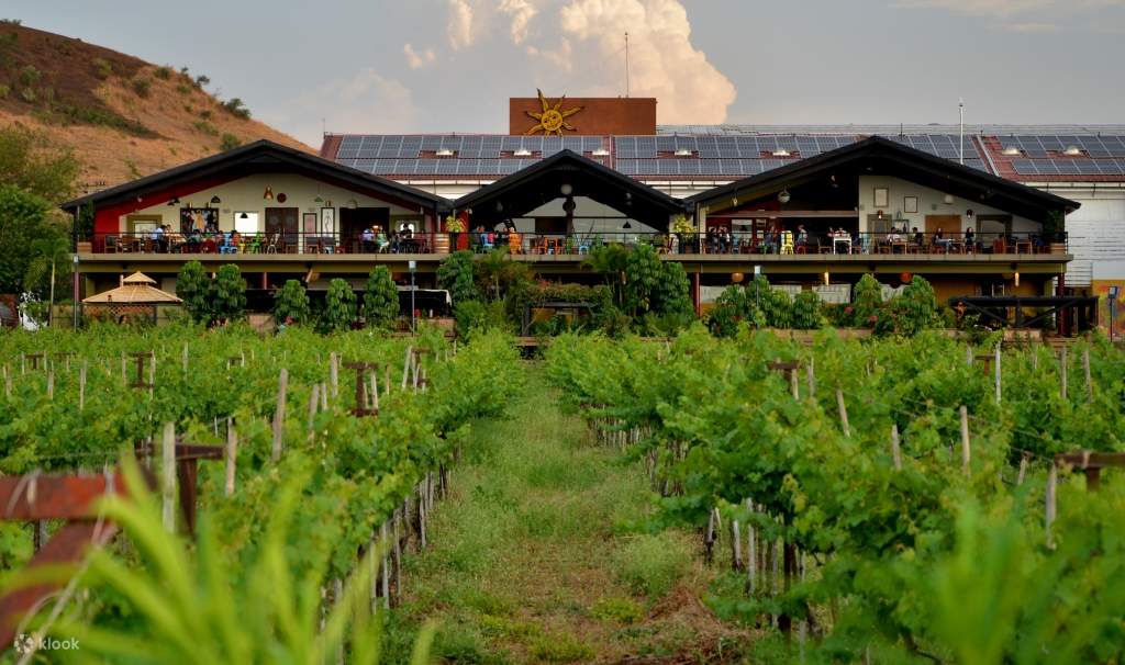 Sula Vineyards with Wine Tasting Day Tour from Mumbai Klook