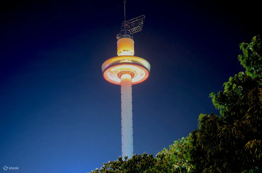 menara 驯服纱丽在晚上