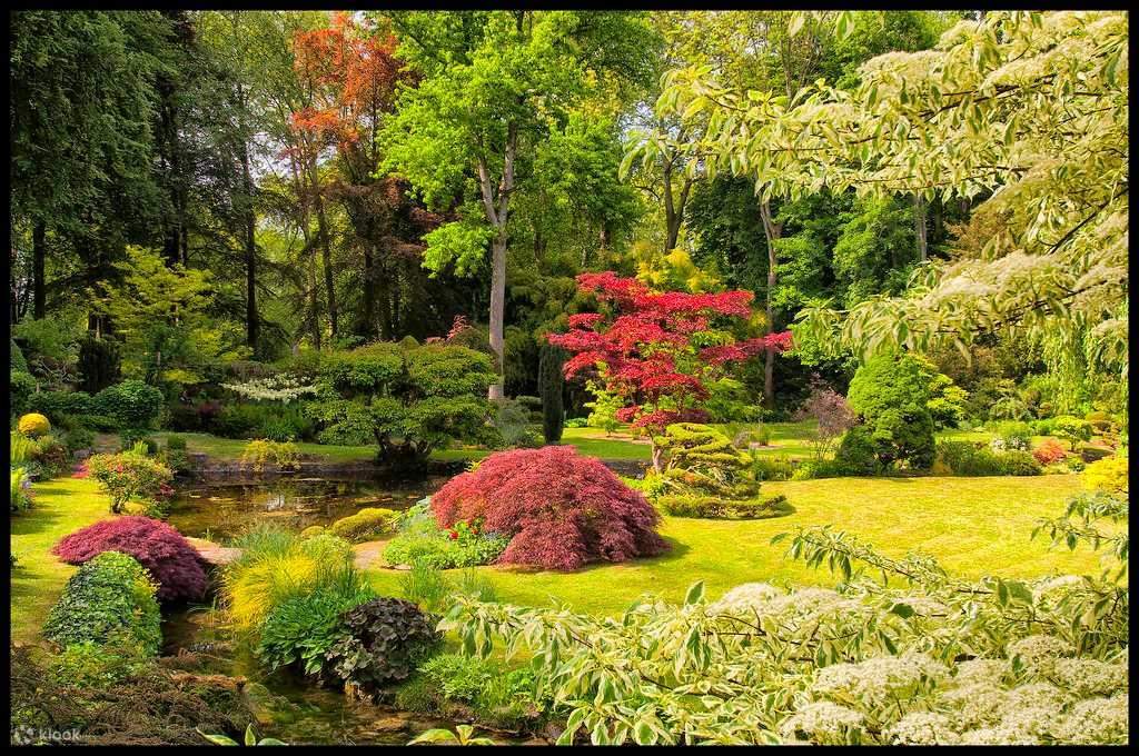 Discover Al Ain in Style with Our VIP City Tour Exclusive Guided