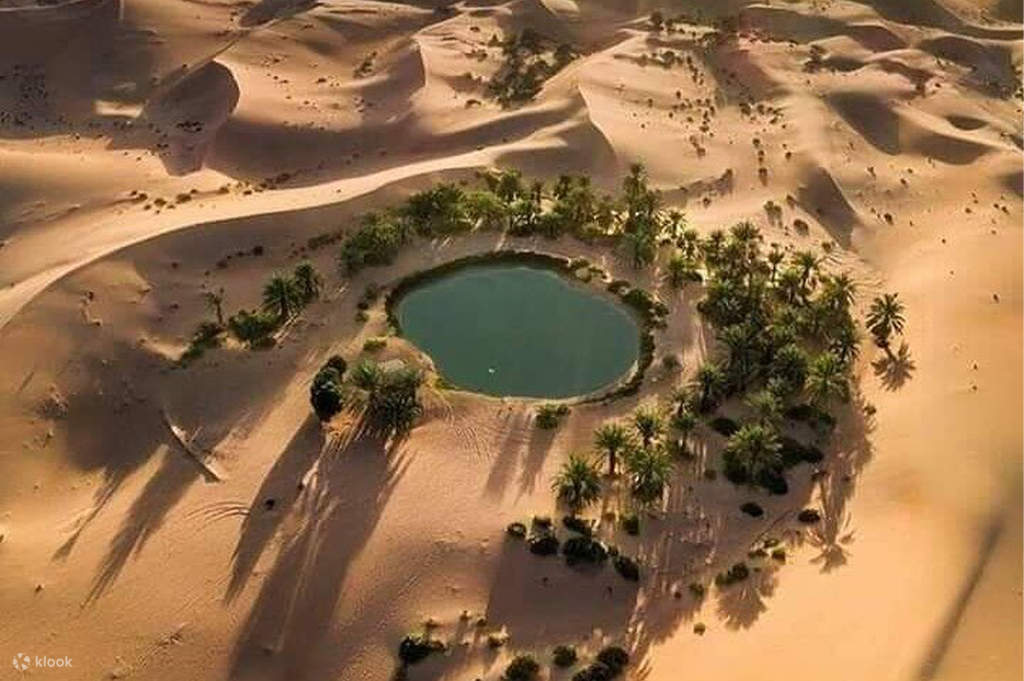 Chuyến phiêu lưu 2 ngày tại Bahariya & White Desert Private Camp - Klook  Việt Nam