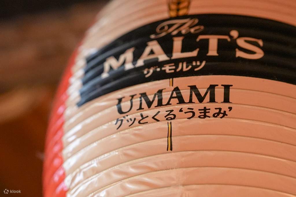 Kyoto Ramen & Gyoza Cooking Class with Professional Chefs