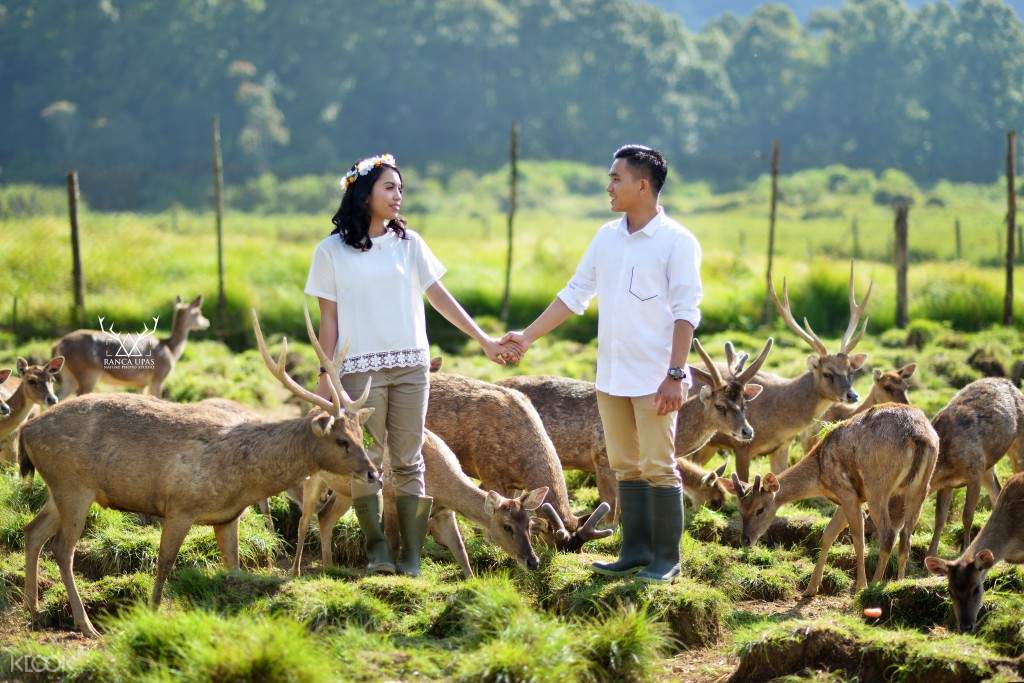 Tiket Masuk Kampung Cai Ranca Upas di Bandung