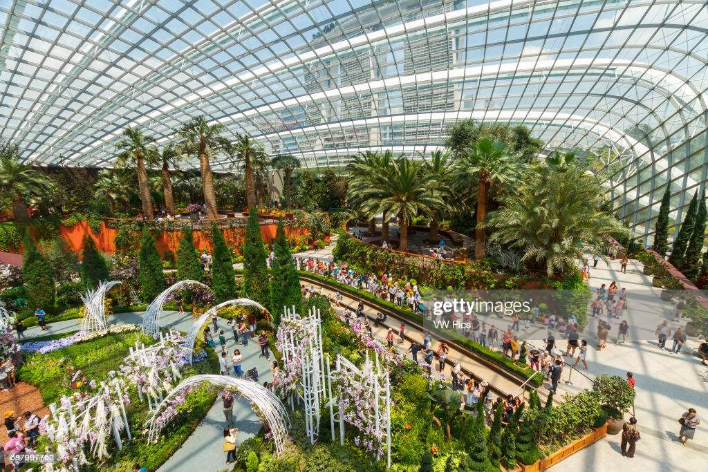 Visit Flower Dome (tickets own account) & Supertree Grove Observatory