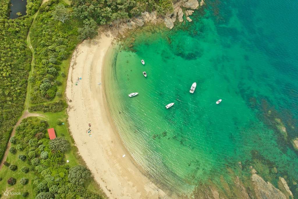 Tour trong ngày khám phá Đảo Rotoroa từ Auckland