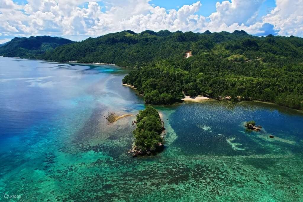 Dive into the vibrant world of Danjugan Island's coral reefs, where a kaleidoscope of colors unfolds beneath the waves, creating a breathtaking display of marine biodiversity.