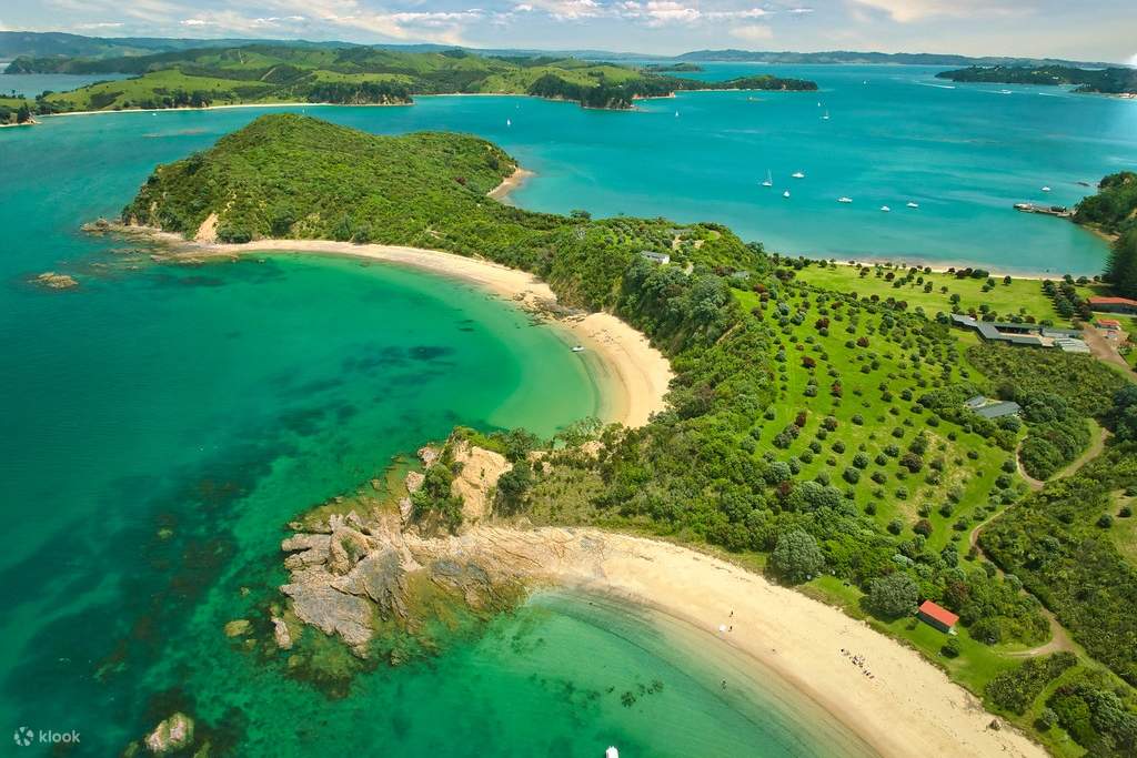 Gita di un giorno all'Isola di Rotoroa da Auckland