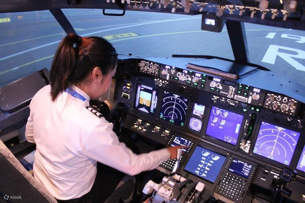 Flight simulator 11