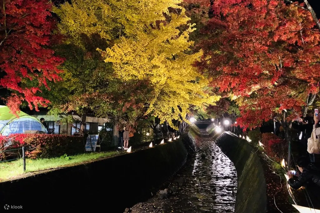 红叶走廊 河口湖（10 月和 11 月）