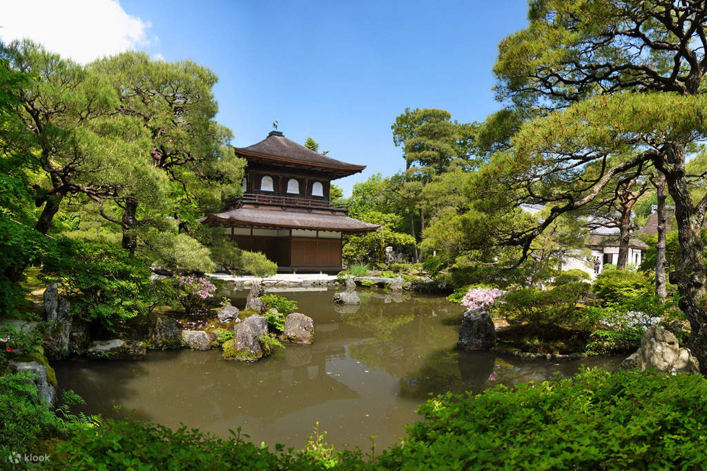 京都三大名所金阁寺 银阁寺 清水寺半日游 Klook客路