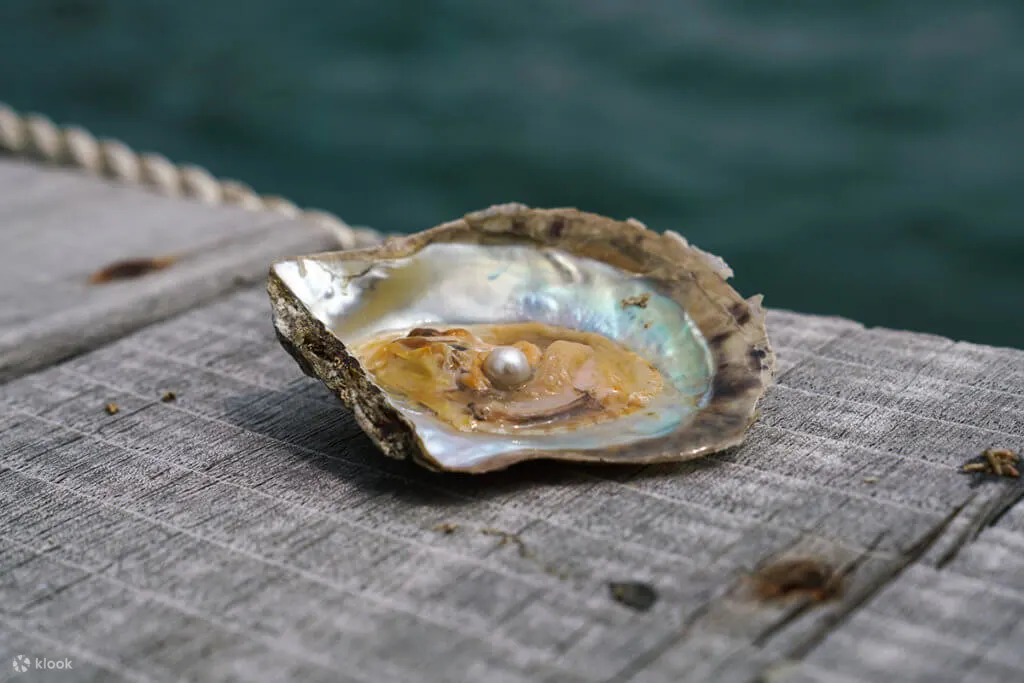 珍珠首饰DIY工作坊 | 3小时 | 白沙湾码头