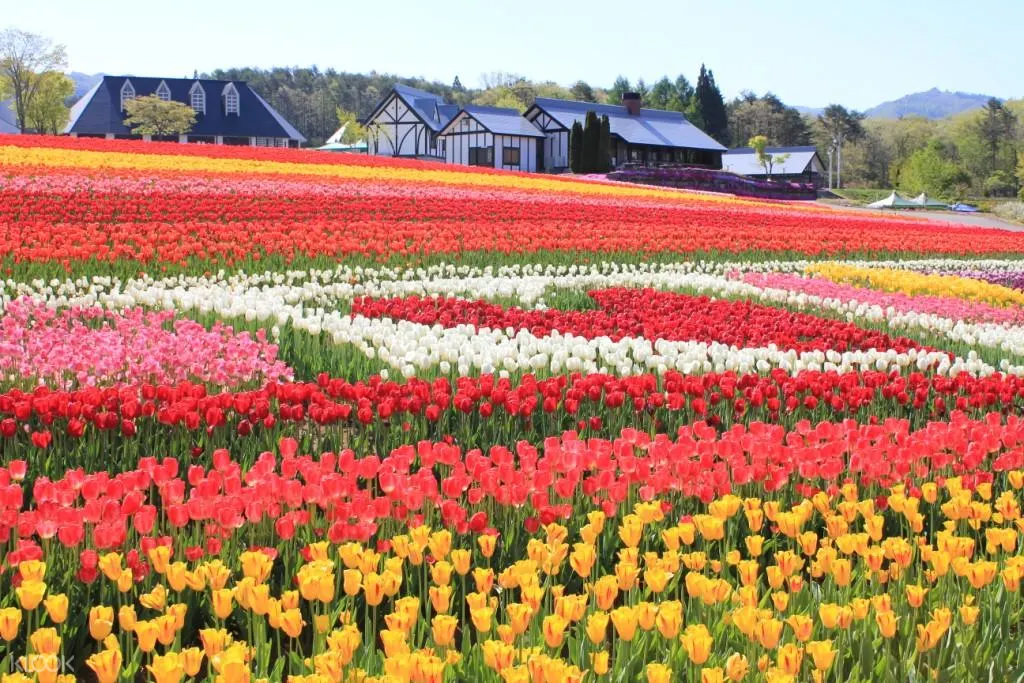 岐阜 ひるがの高原 牧歌の里 入場チケット Klook クルック