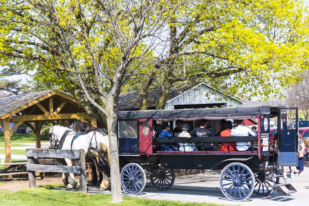 amish country tours from nyc