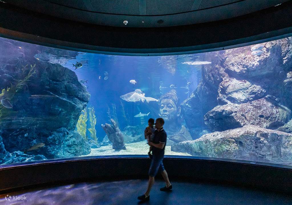sea life bangkok ocean world