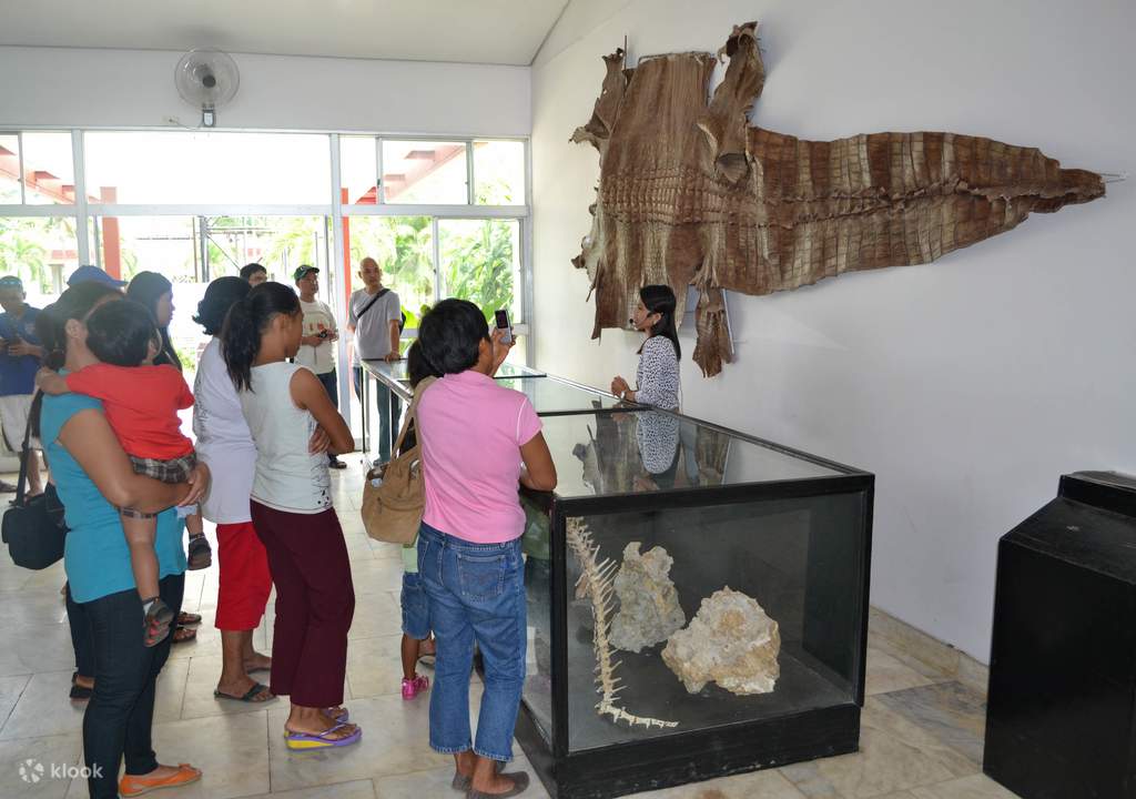 puerto princesa