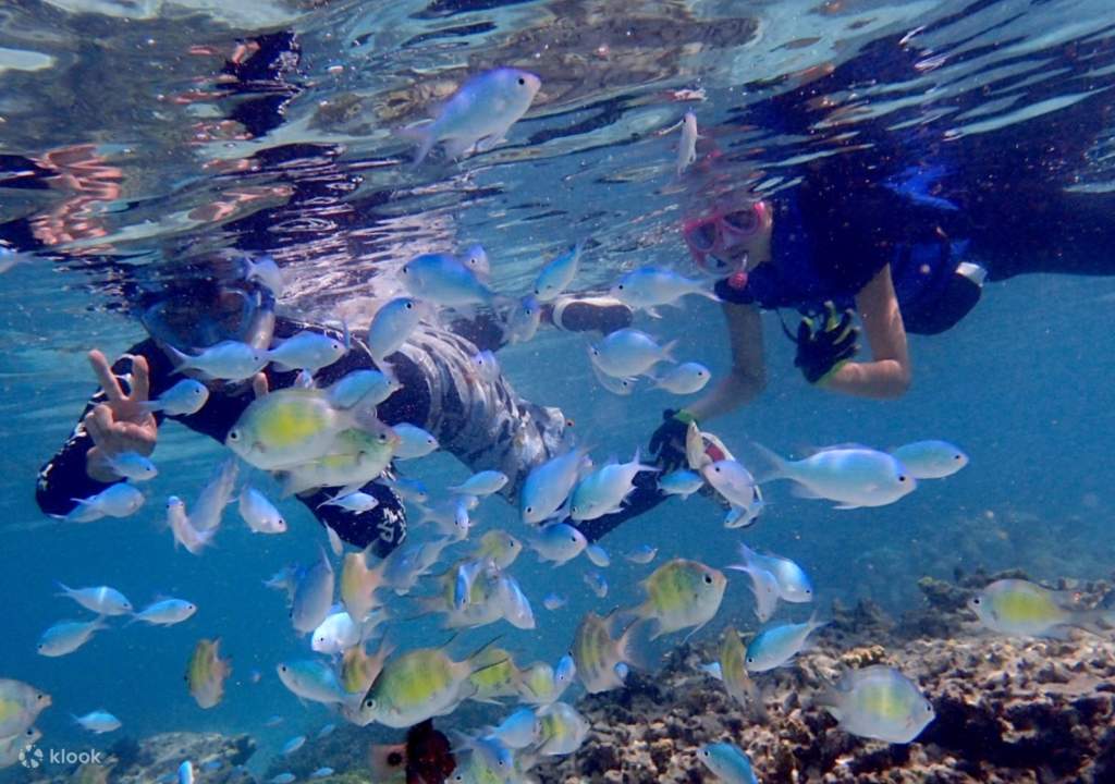 snorkeling