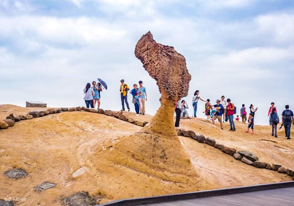 a scenic day tour around renowned attractions