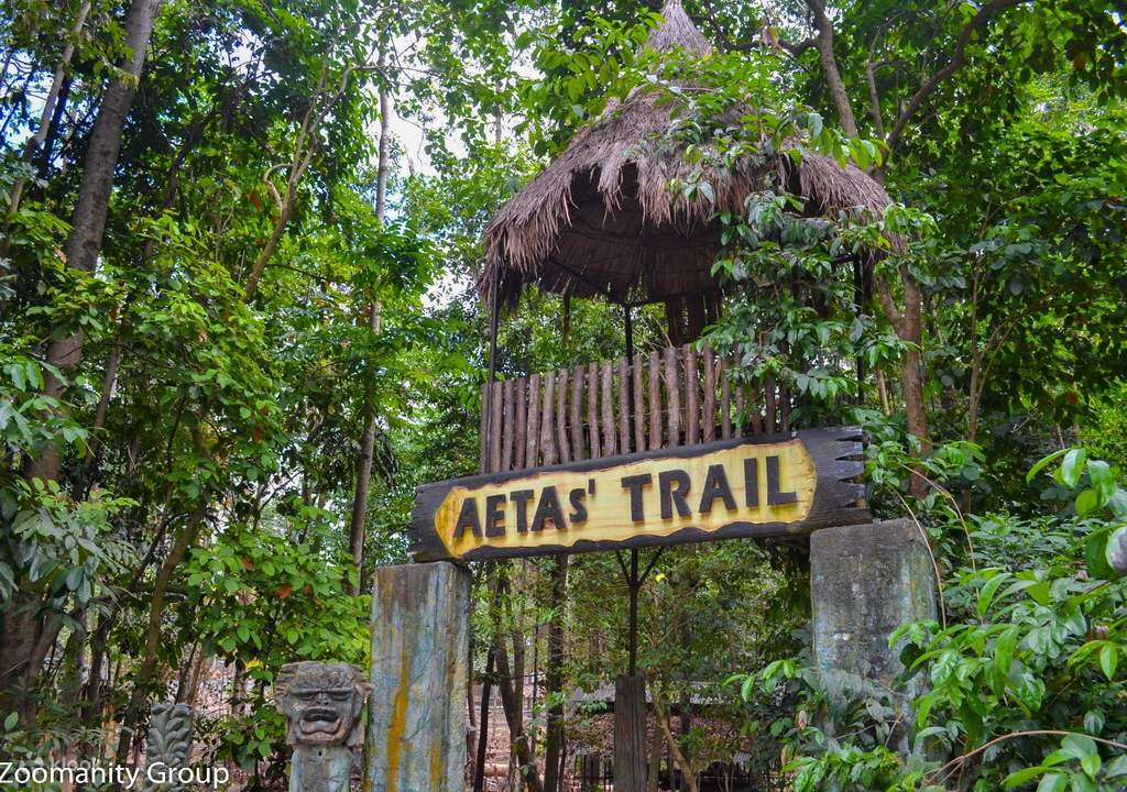 have an action-packed afternoon at zoobic safari