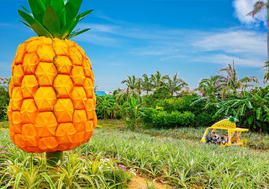 explore nago pineapple park