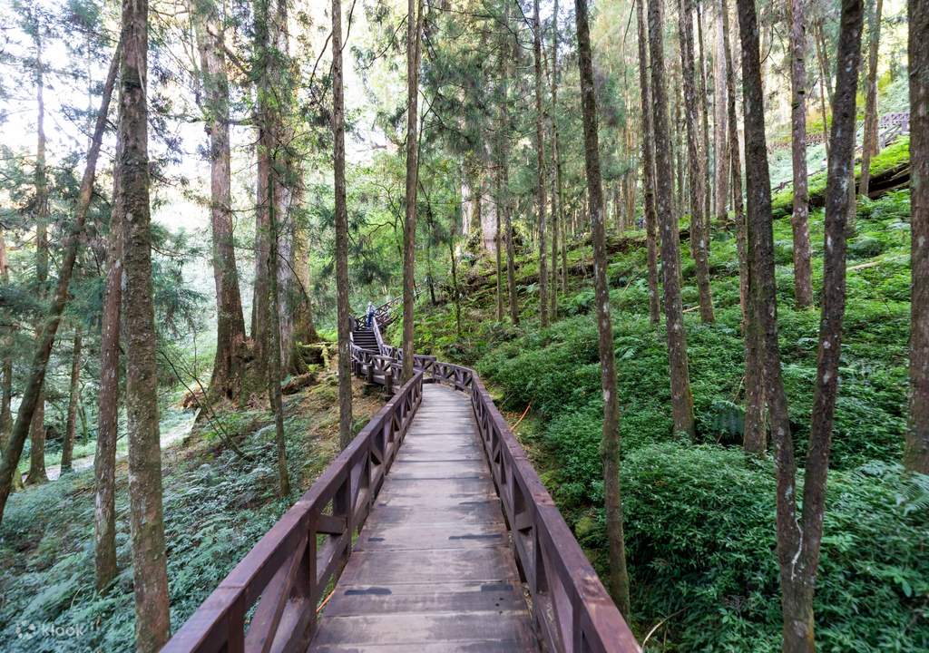 alishan forest railway