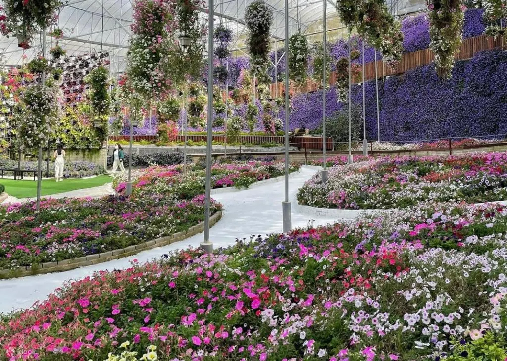 室内花园