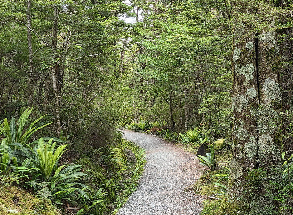 ラクスモア・ケプラー ヘリハイキング