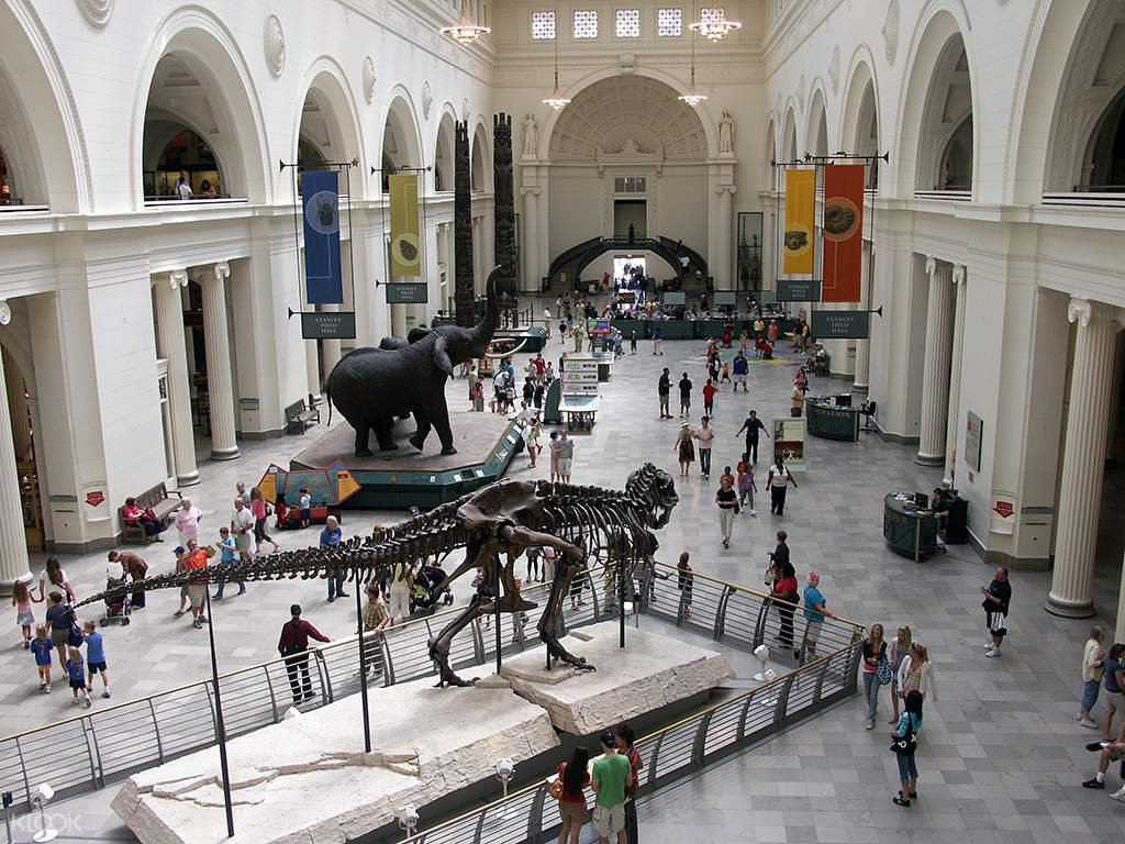 visit field museum