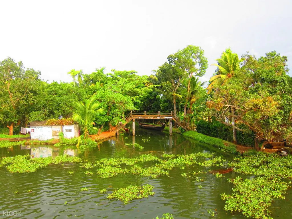 科欽回水湖區(Backwater)船屋巡遊