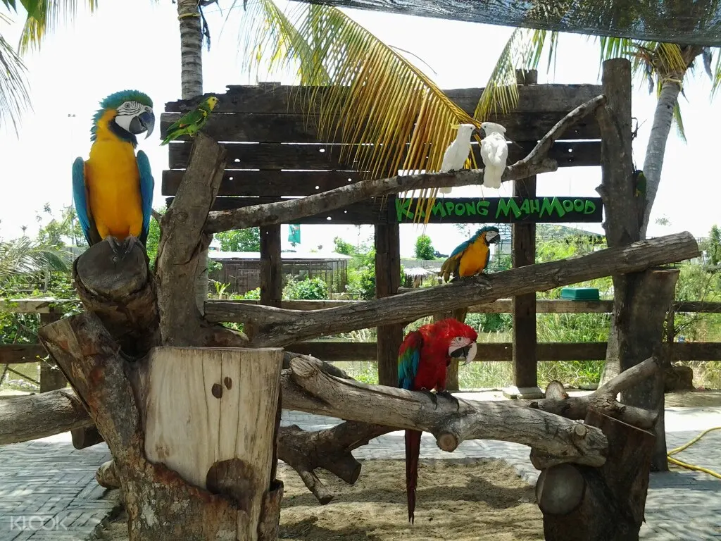 Farm In The City Discount Ticket In Malaysia Klook Malaysia