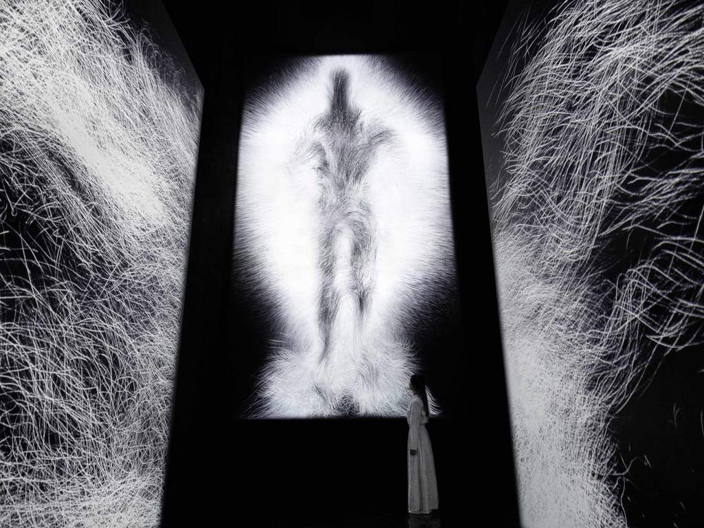 artscience museum admission