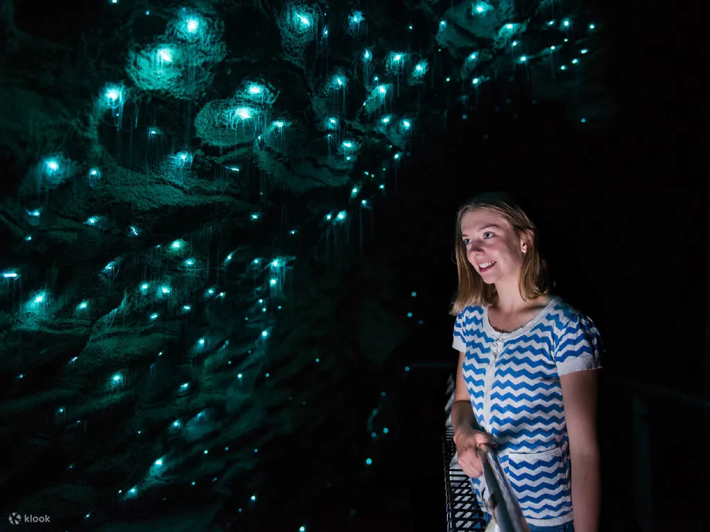 怀托摩萤火虫洞 (Waitomo Glowworm Caves)