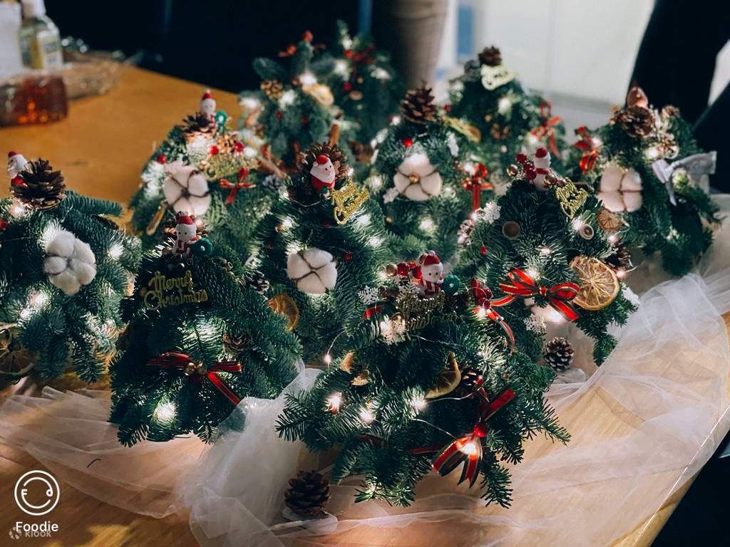 Myosotis Flower 迷你圣诞树工作坊