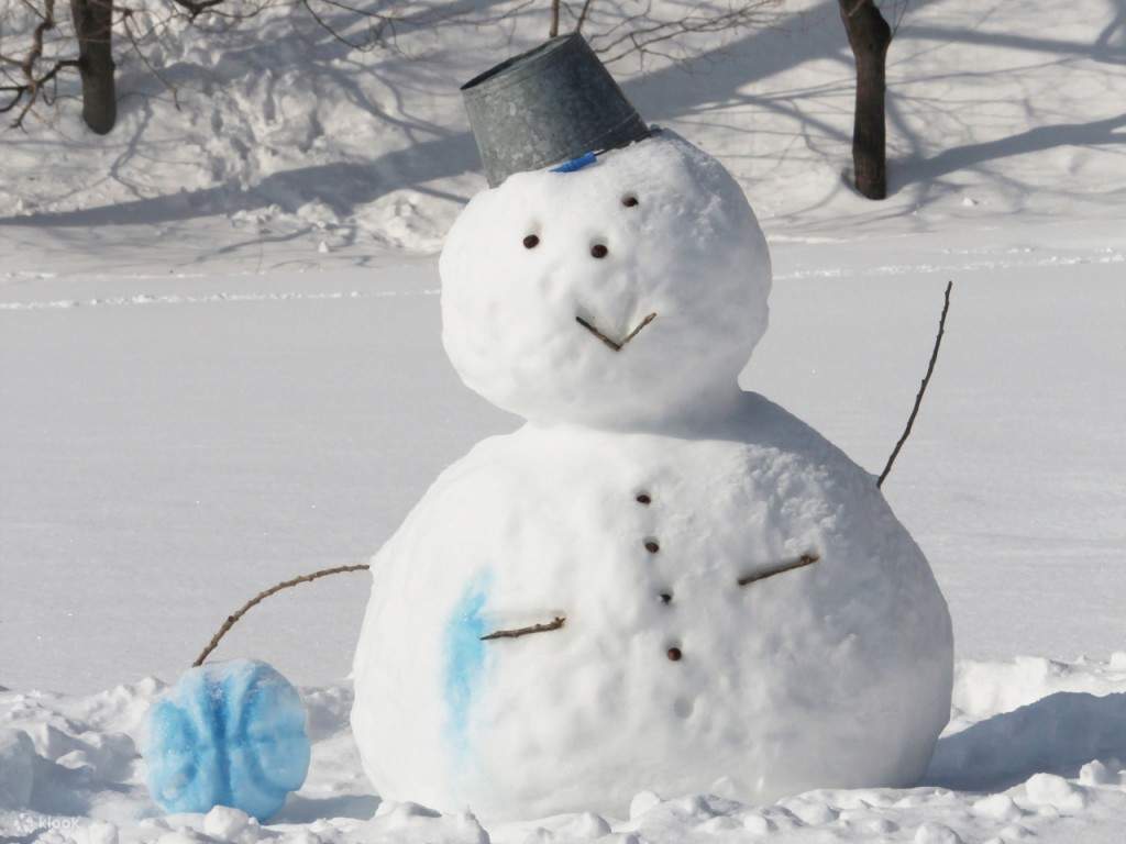 Genießen Sie Schnee im Ichirino Ski Resort [1 Stunde von Kanazawa & Komatsu]