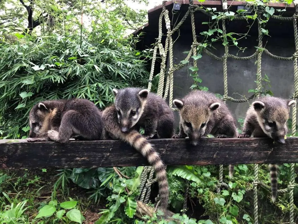 寿山动物园