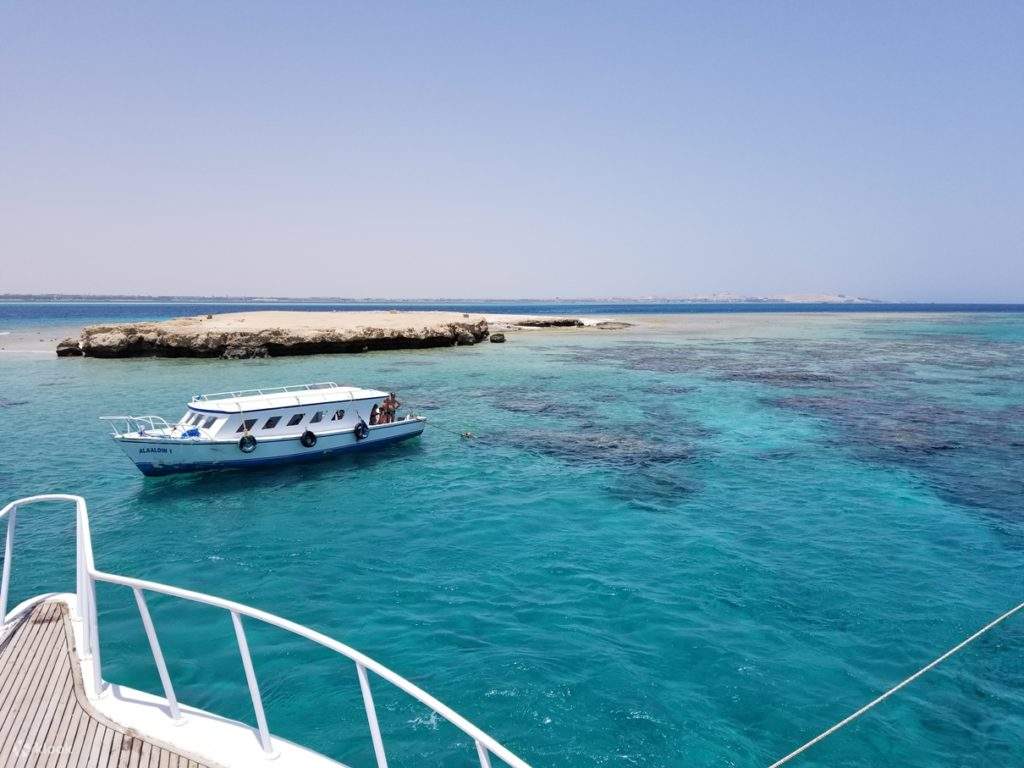 Excursión de esnórquel al Mar Rojo en Safaga desde Luxor